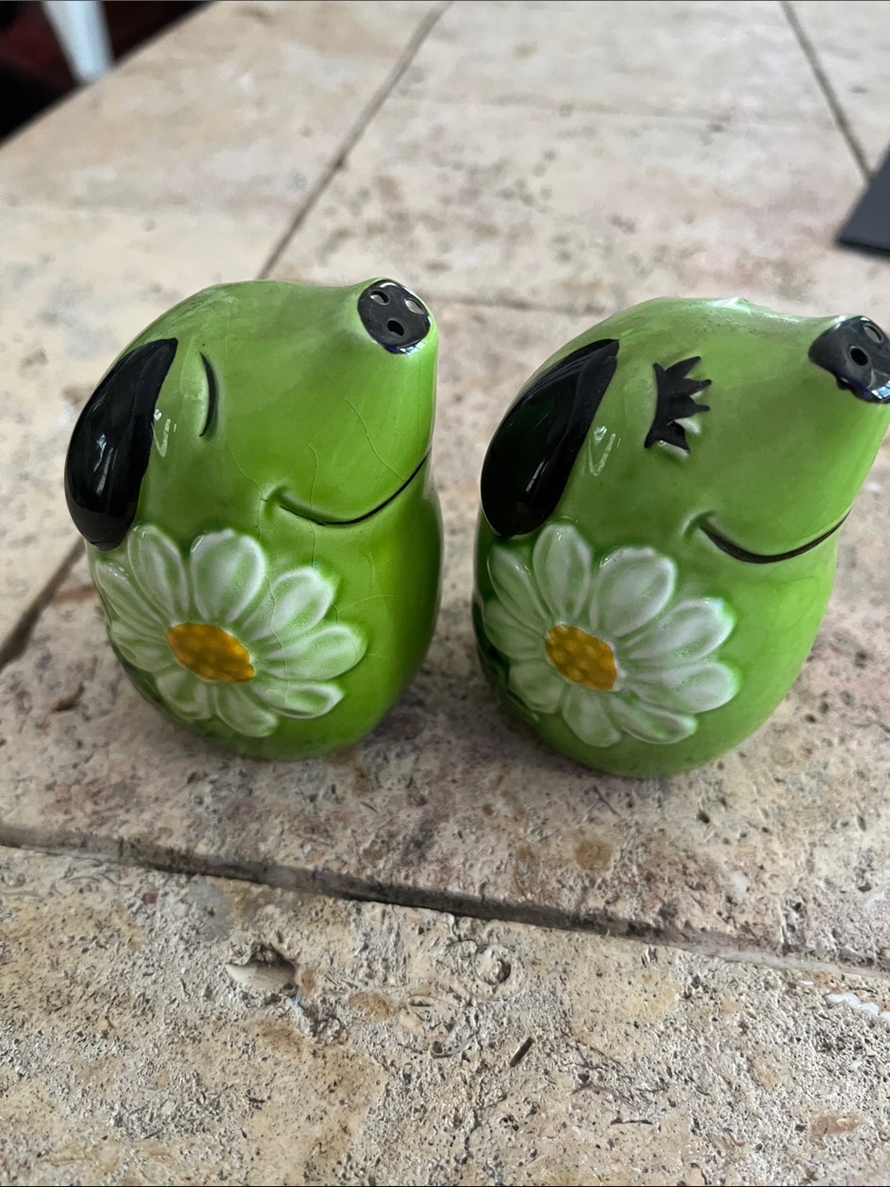 Green Daisy Ceramic Salt and Pepper Shaker Set